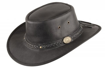 Springbrook black
