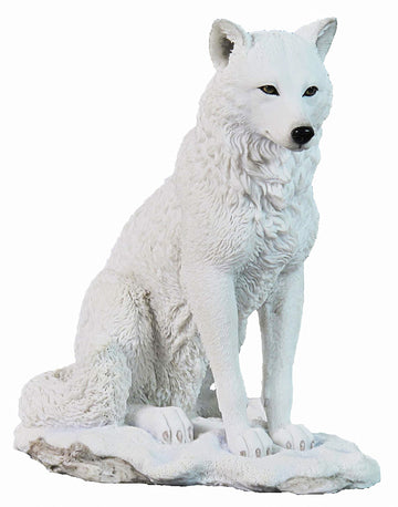 Polarwolf sitzt im Schnee