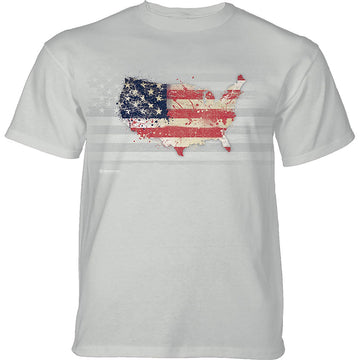 USA American Paint Adult