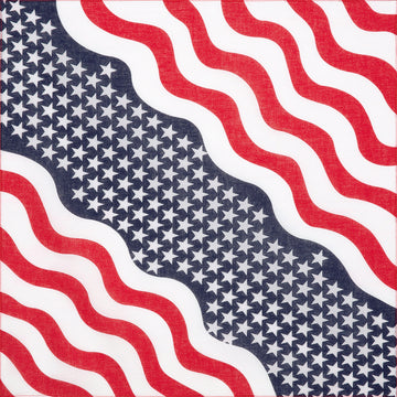 BANDANA-13 - USA 2