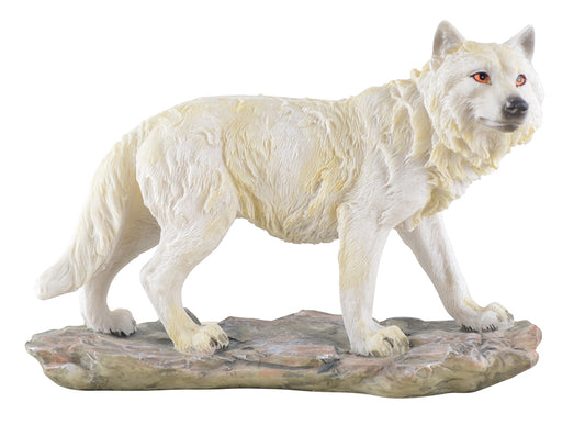 Stehender Weisser Wolf