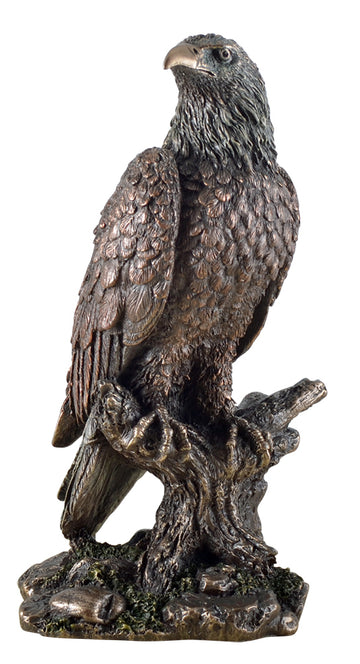 US-Weißkopfseeadler auf Ast