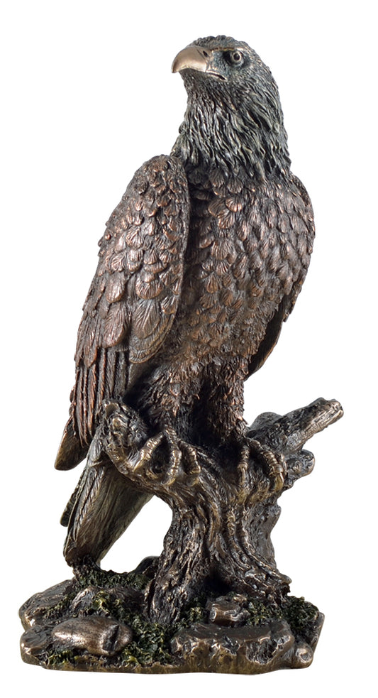 US-Weißkopfseeadler auf Ast