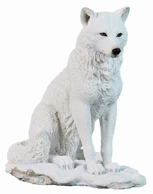 Polarwolf sitzt im Schnee