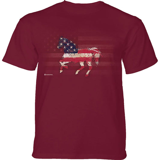 Horse American Paint Adult