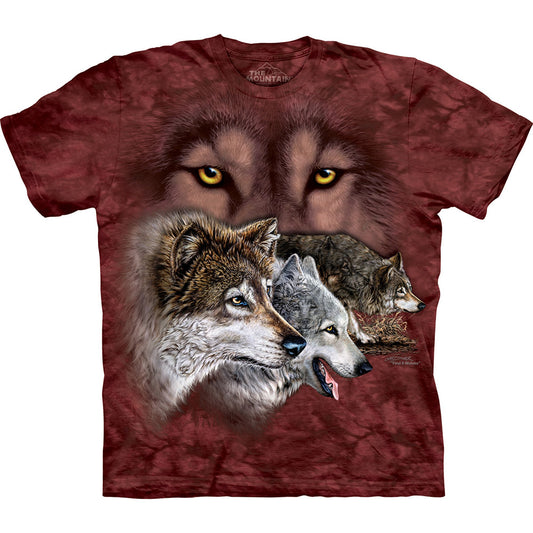 Find 9 Wolves Adult