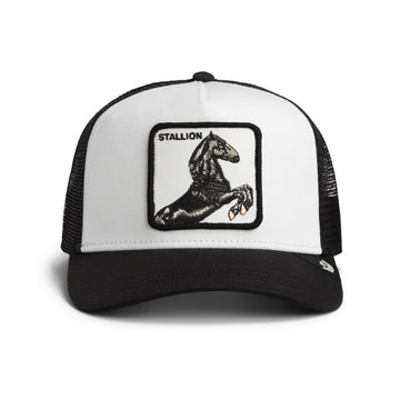 Stallion Trucker-DUST